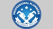 Professionals Plumbers